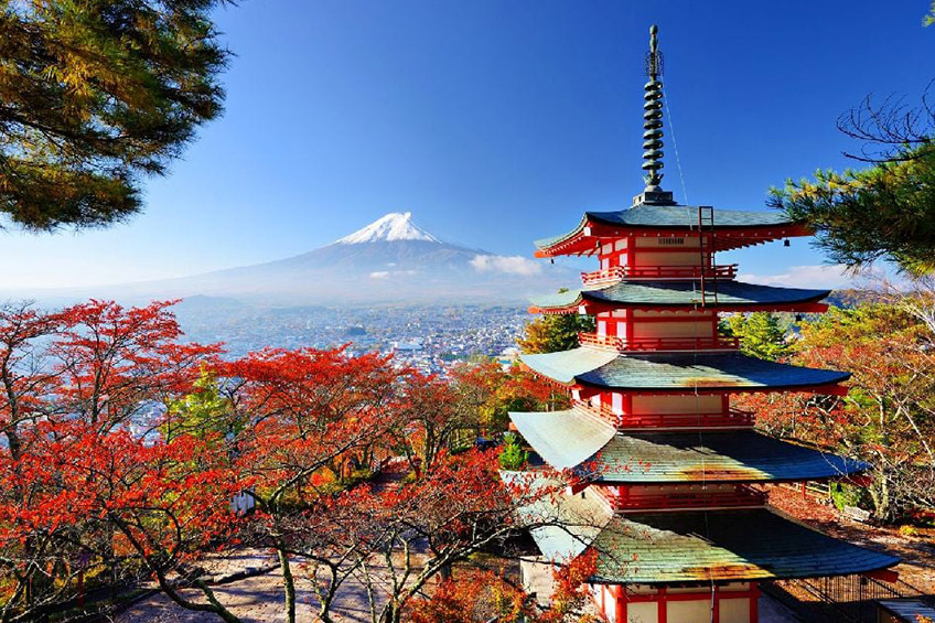 Asia: Osaka, Kochi, Jeju & Mt. Fuji