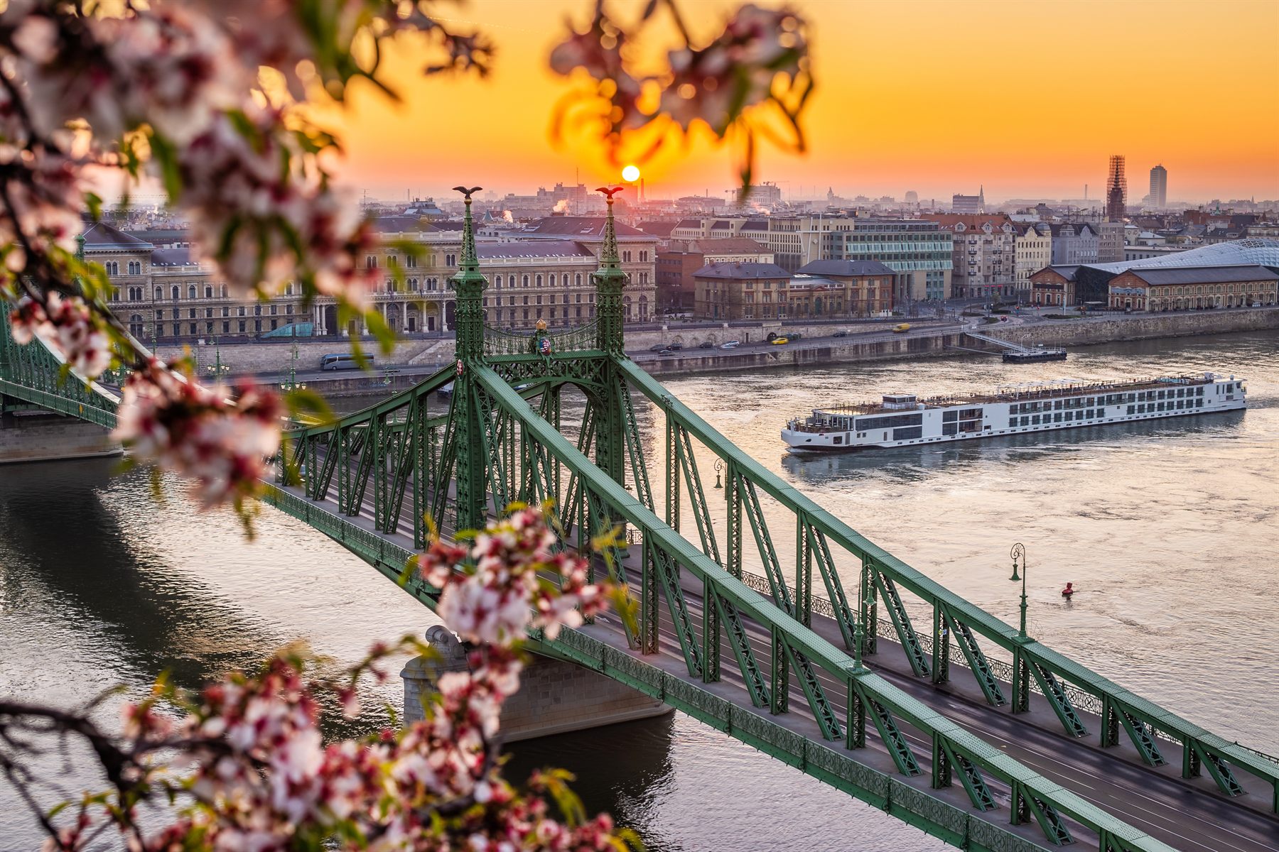 River cruise ship on the Danube passing Budapest’s Liberty Bridge, spring blossoms in front