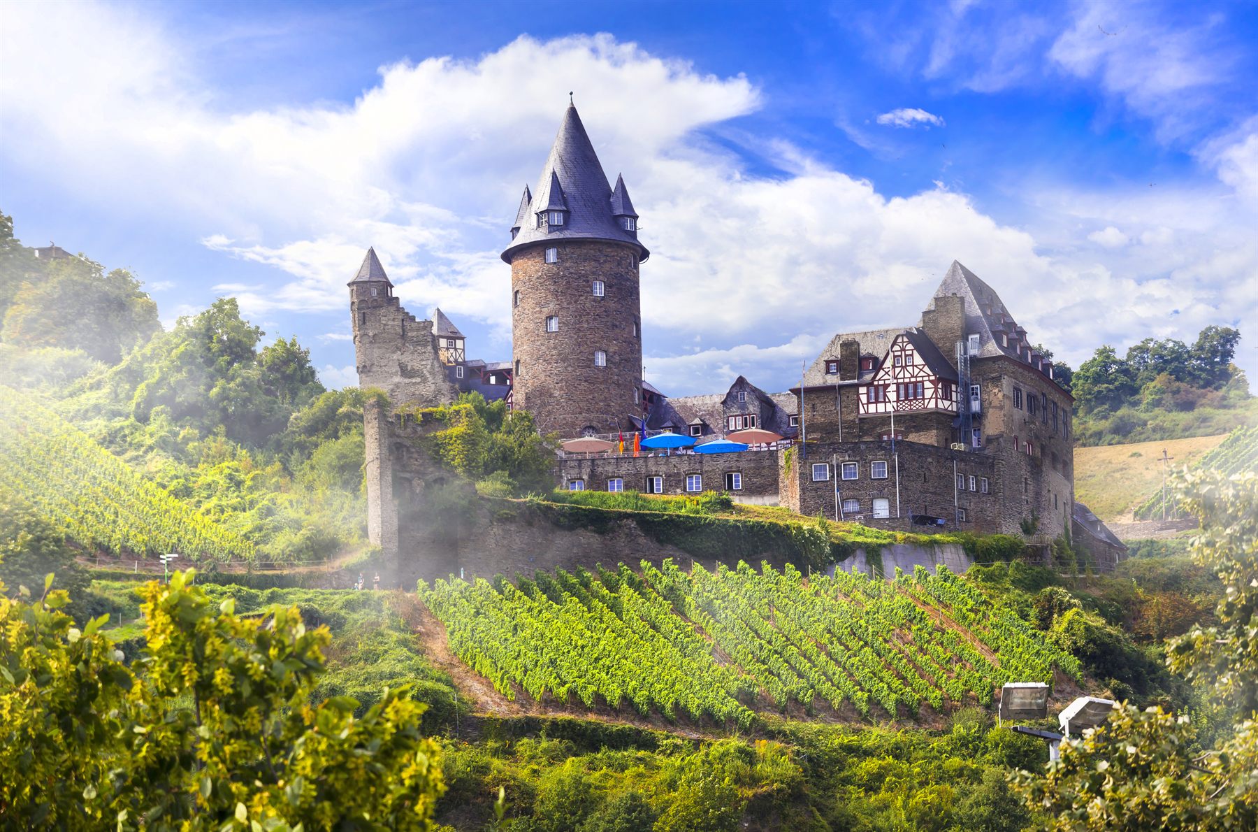 Hilltop castle with a round tower above terraced vineyards in the Rhine Valley